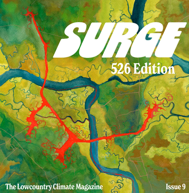 Surge Issue 9 Online Reader